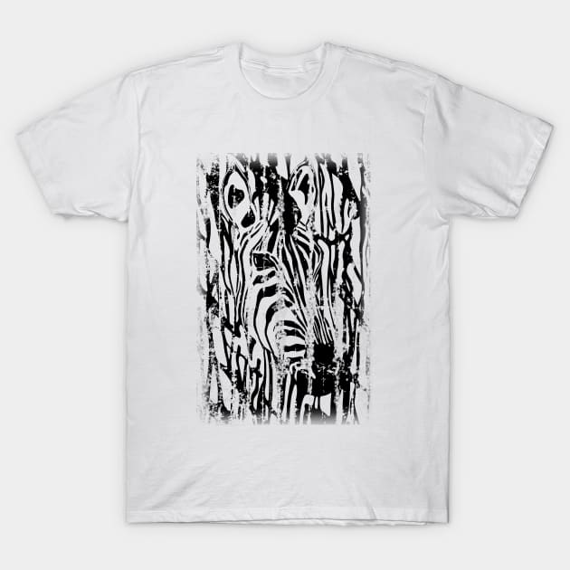 Distressed Zebra T-Shirt by Alan Hogan